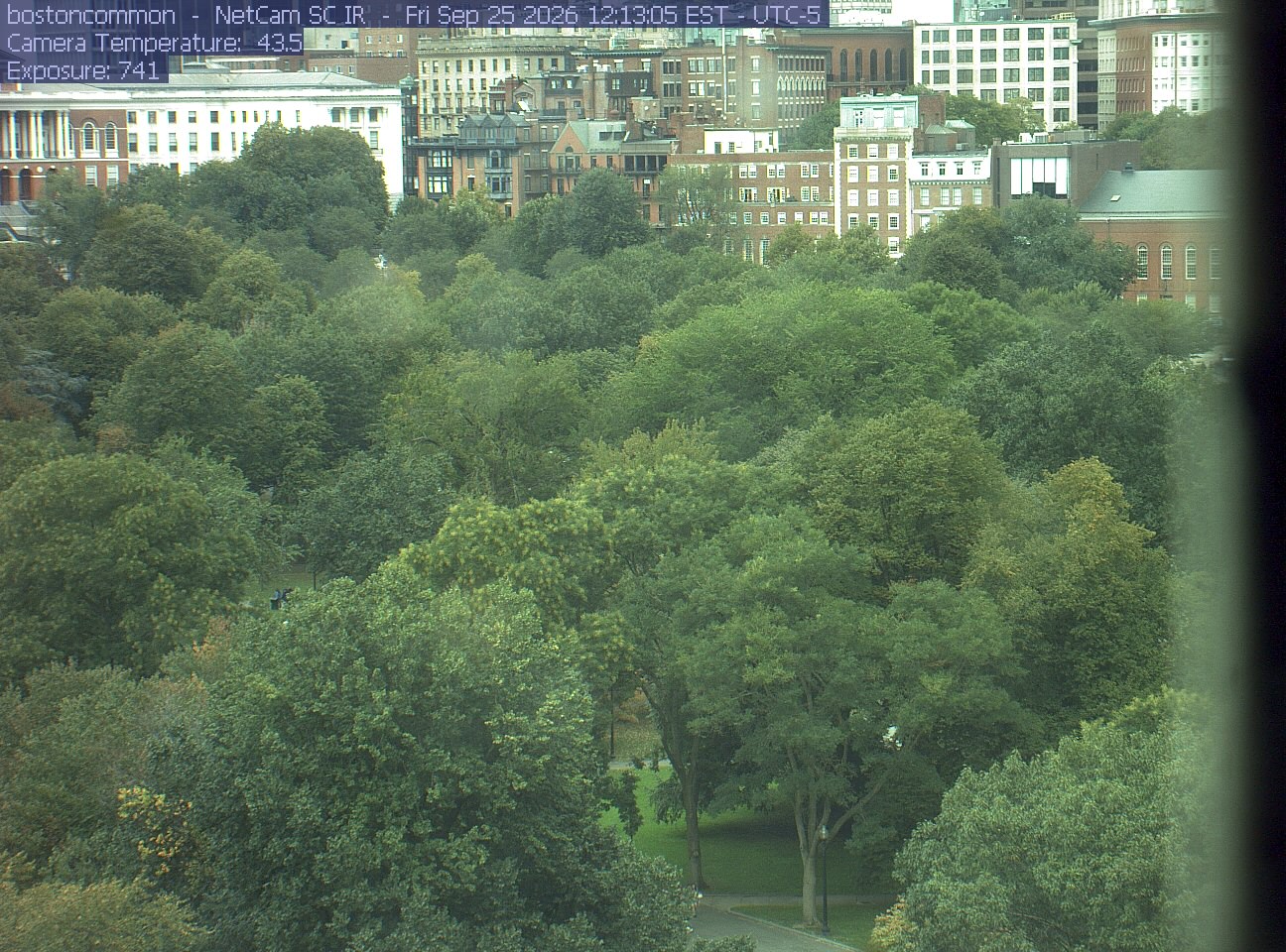 Buildings rise behind the park canopy; a fixed structure covers part of the right edge.