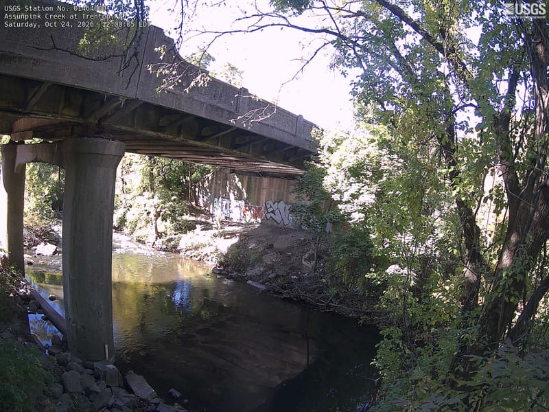 A large road bridge and its piers interrupt the creek view.