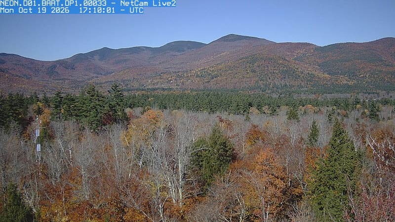 Autumn crowns fill the foreground beneath an unbroken wooded mountain ridge, with yellow and red leaves clearly visible among dark conifers.