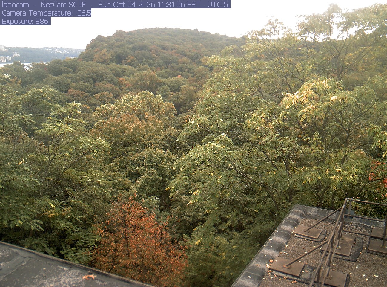 A wooded ridge rises behind close canopy at Lamont–Doherty Earth Observatory.