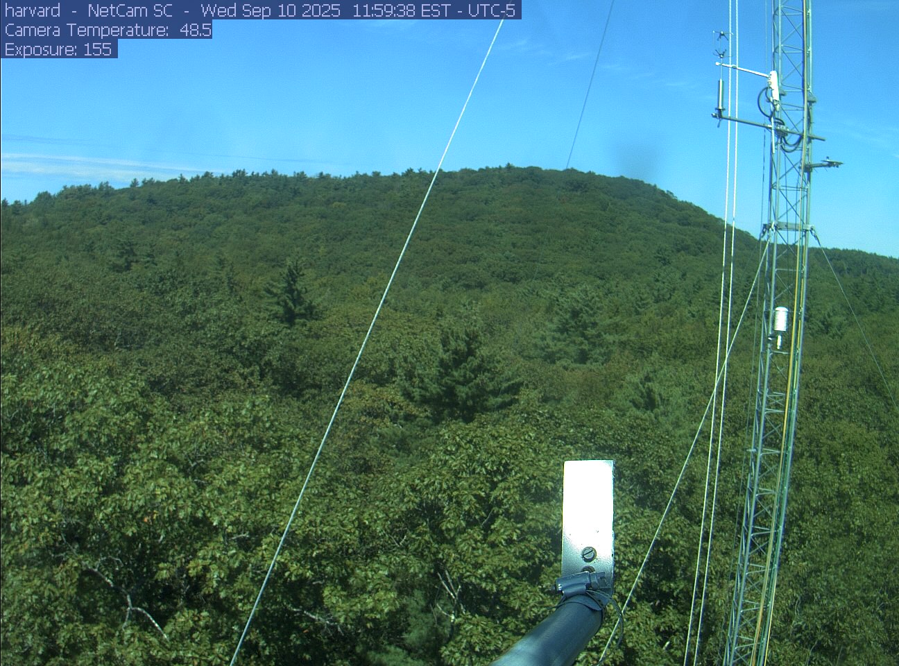 Forest canopy surrounds the tower, with a mast and instruments in the foreground.