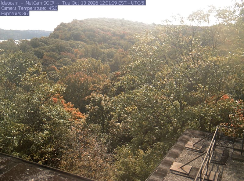 A wooded ridge rises behind close canopy at Lamont–Doherty Earth Observatory.