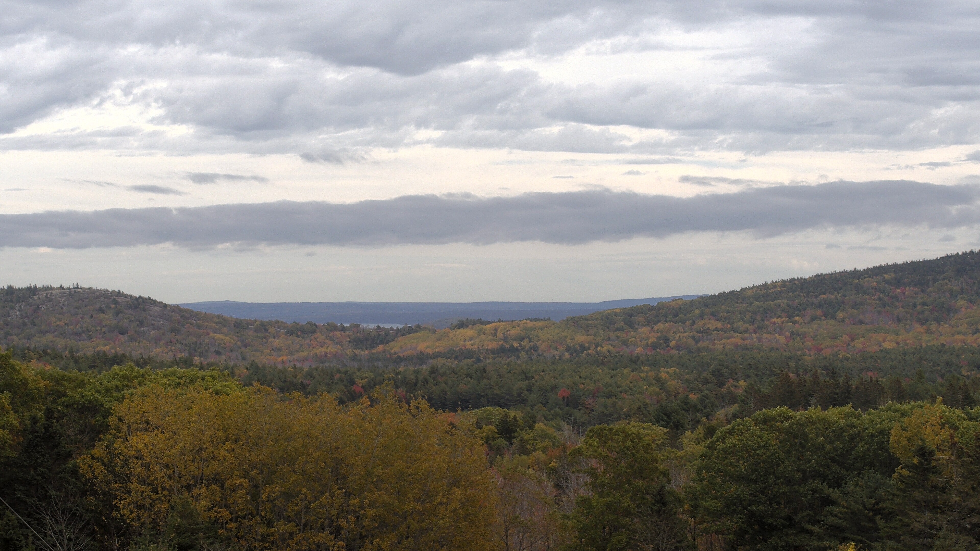 A wooded valley opens toward distant water, seen from McFarland Hill.
