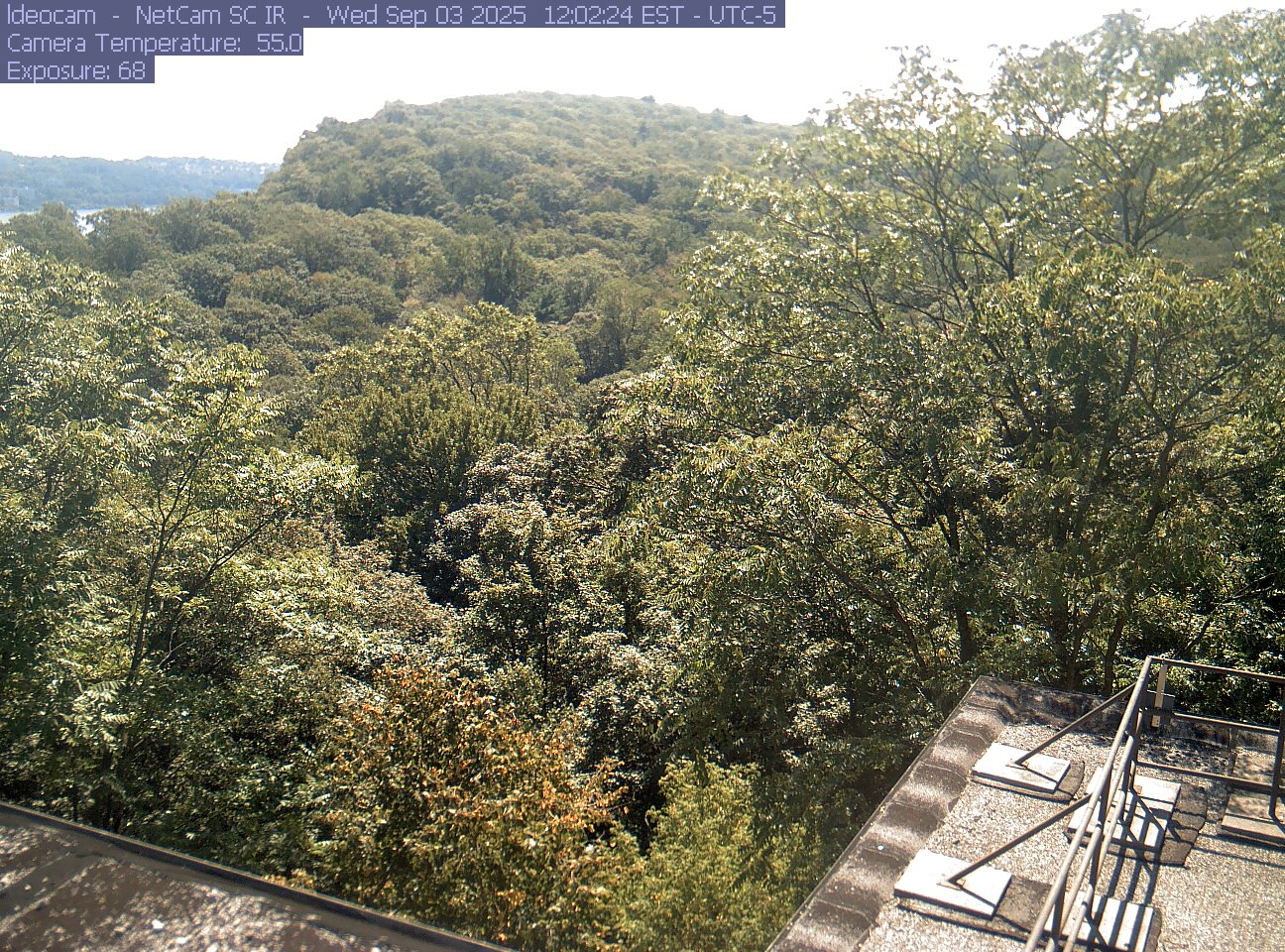A wooded ridge rises behind close canopy at Lamont–Doherty Earth Observatory.