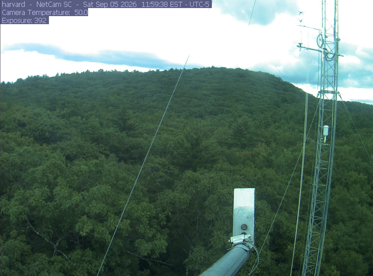 Forest canopy surrounds the tower, with a mast and instruments in the foreground.