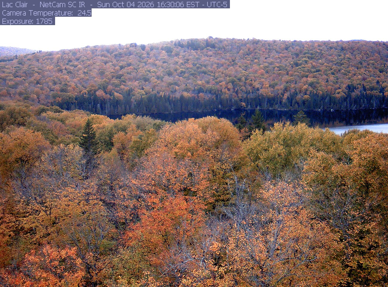 A wooded hillside and close canopy frame the water at Lac Clair.