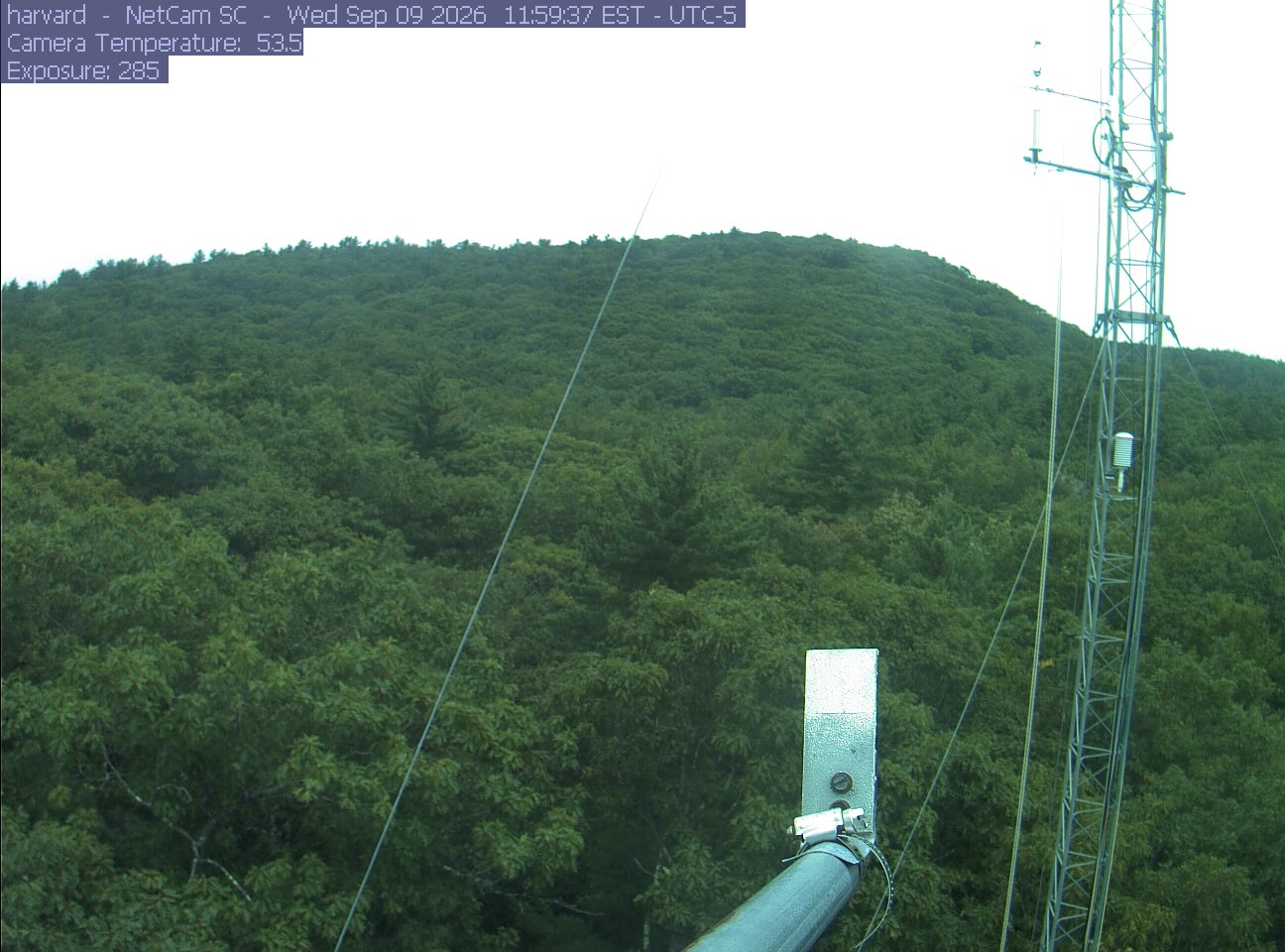Forest canopy surrounds the tower, with a mast and instruments in the foreground.