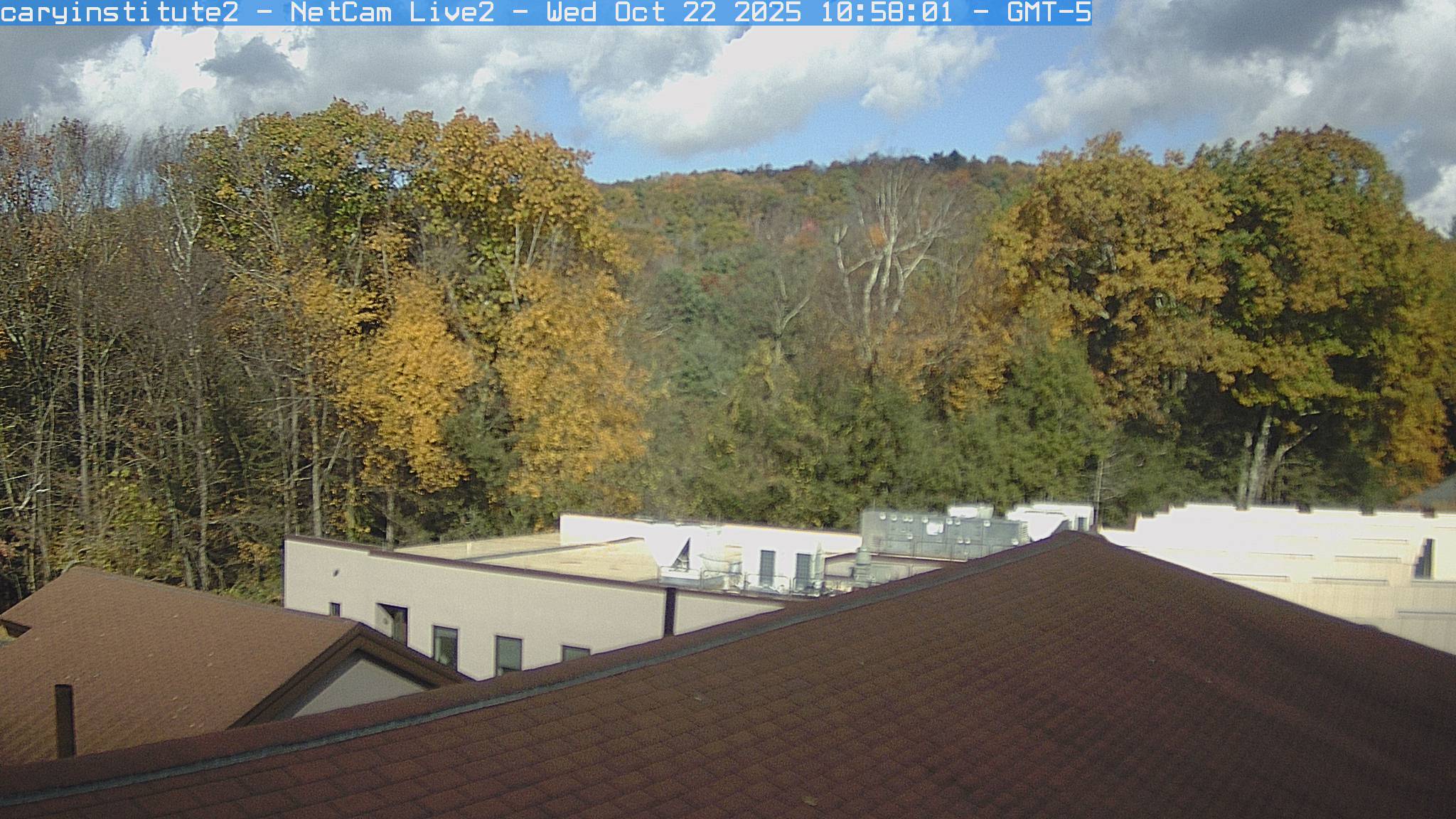 A rooftop camera at the Cary Institute in Millbrook looks over a shingle roof and a flat-roofed building to broadleaf woods and a ridge.