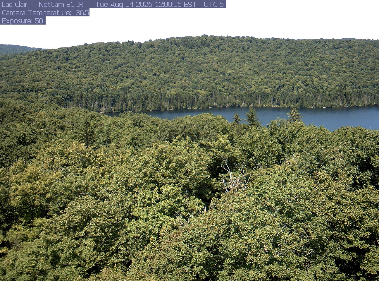 A wooded hillside and close canopy frame the water at Lac Clair.