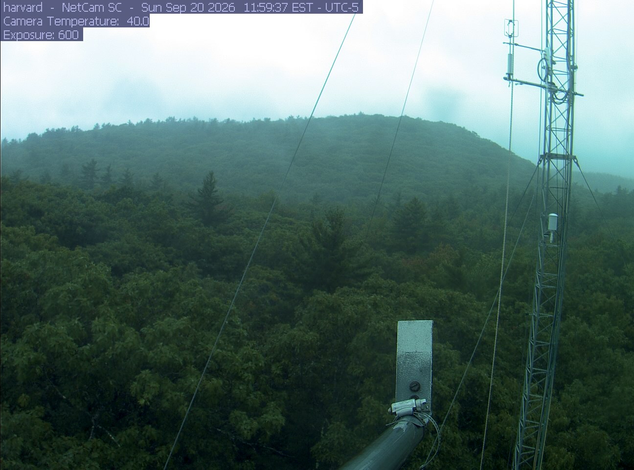 Forest canopy surrounds the tower, with a mast and instruments in the foreground.
