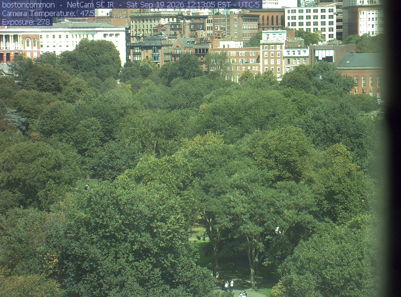 Buildings rise behind the park canopy; a fixed structure covers part of the right edge.