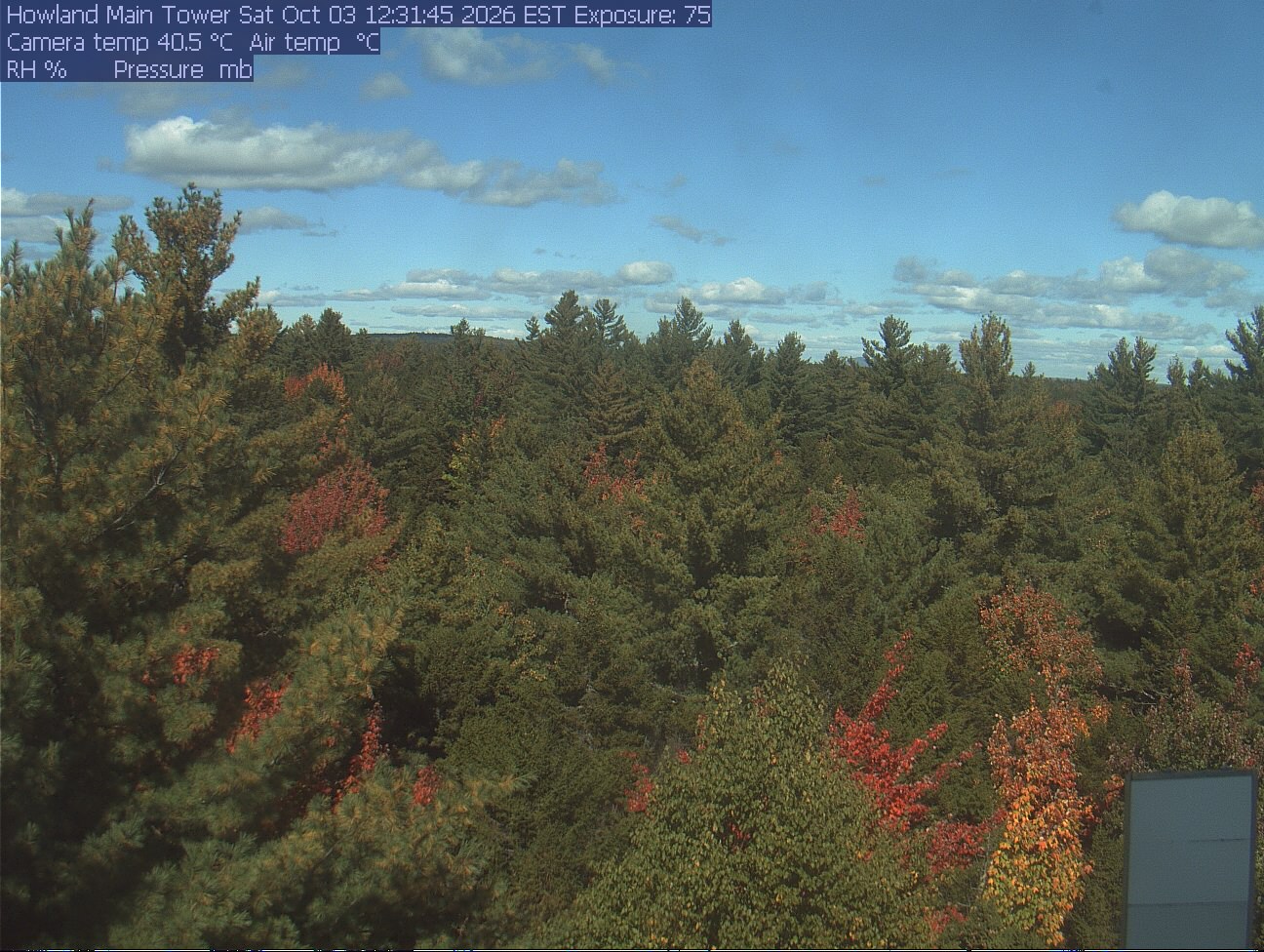 A broad treetop scene with evergreen crowns and scattered red, orange and yellow broadleaf crowns. Near foliage is readable; there is modest softness at the left edge and normal crown shadows. No apparent wet-lens obstruction or direct glare.