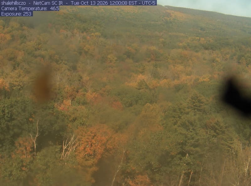Broad wooded hillside with green, yellow and orange crowns. Multiple large soft dark and translucent lens marks blur substantial areas. Readable overall woodland change, with poor fine color detail.