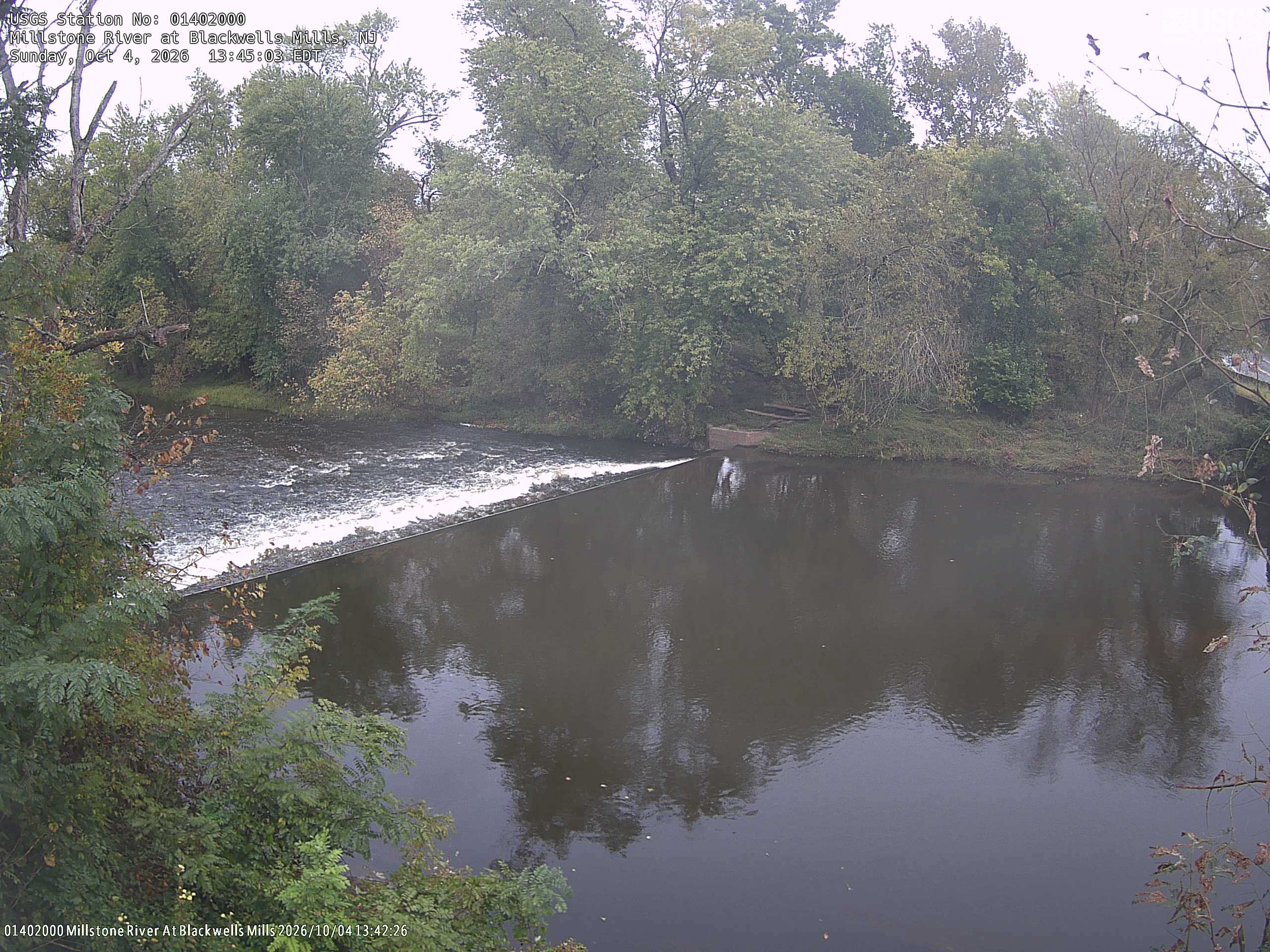 A broad wooded opposite bank and nearby branches fill the upper half and left edge around a low river barrier. Green leaves with scattered yellow and orange are readable despite flat grey light.