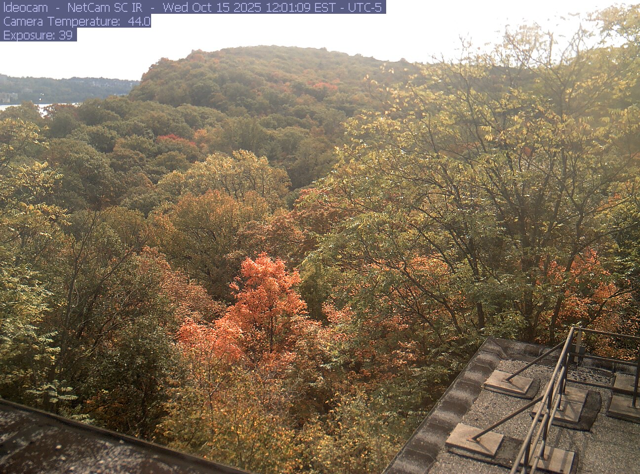 A wooded ridge rises behind close canopy at Lamont–Doherty Earth Observatory.