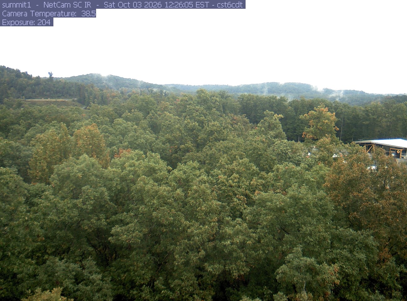 A wide wooded basin extends toward low hills. The nearby trees remain mostly green with scattered yellow and orange patches, while thin cloud or mist trails the far hills.