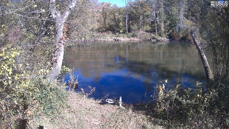 Close branches arch over the broad river, carrying scattered yellow-brown leaves among many bare twigs. Darker green trees line the far bank, and a small metal fitting is visible at the bottom.