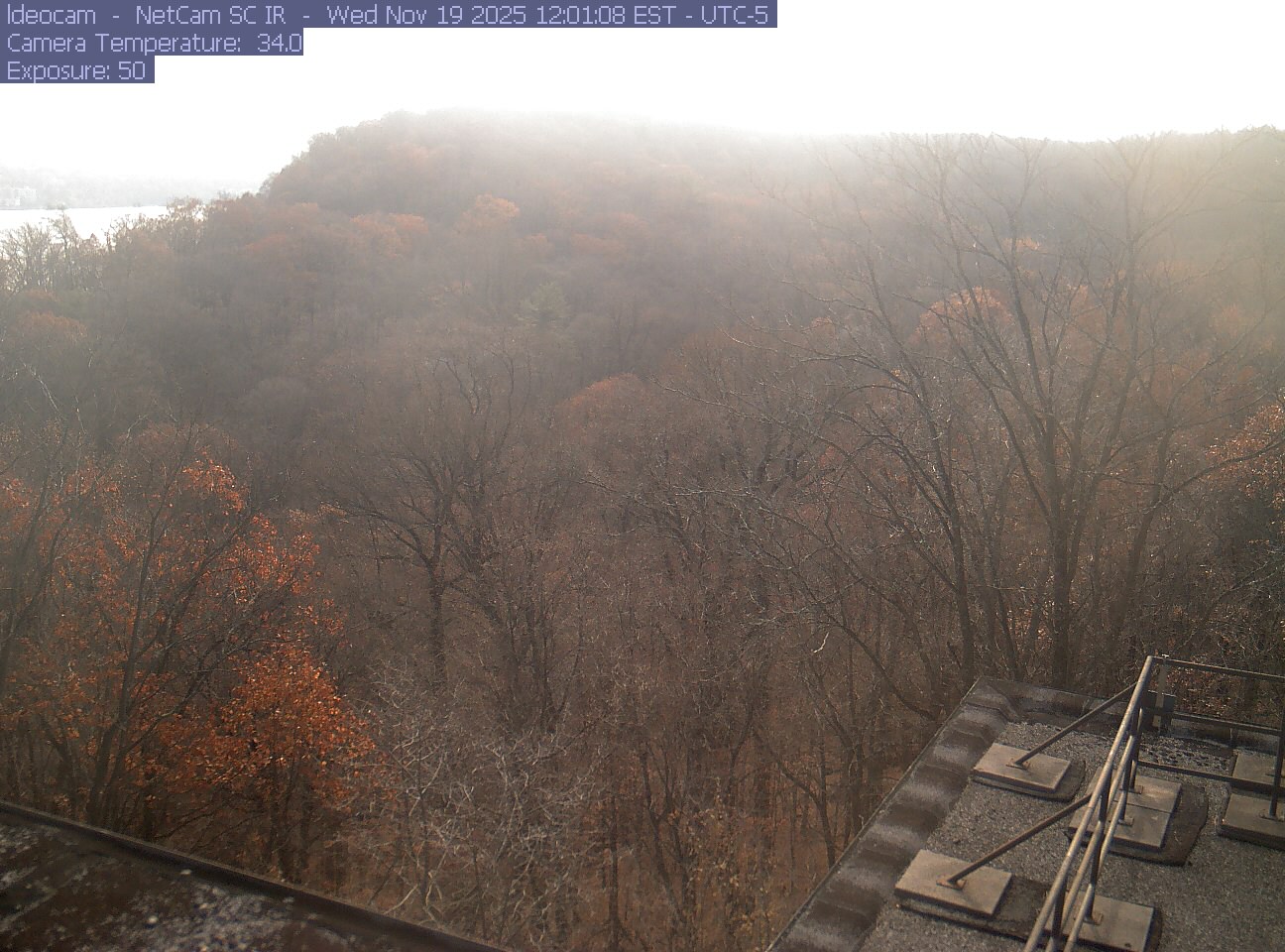A wooded ridge rises behind close canopy at Lamont–Doherty Earth Observatory.