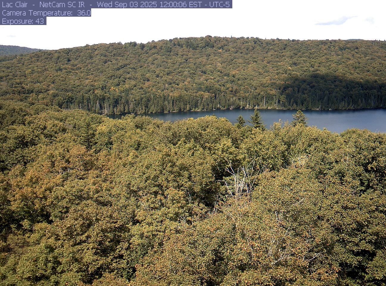 A wooded hillside and close canopy frame the water at Lac Clair.