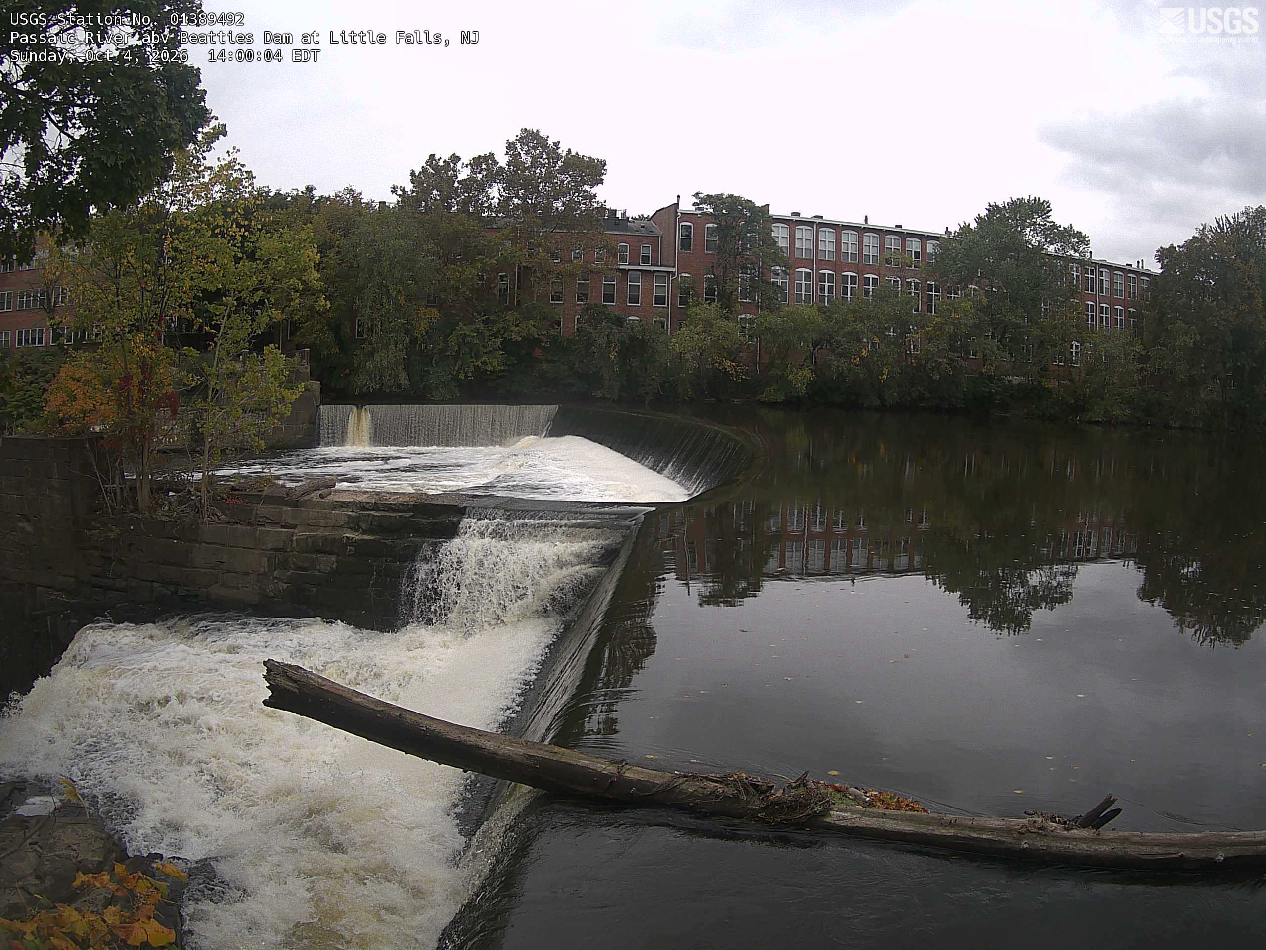 A stepped waterfall sits below a substantial band of riverside trees and brick mill buildings. Green canopy with yellow and orange-red patches is readable, especially on the near left bank. Shade makes the far bank subdued; this is an urban river scene, not an undeveloped forest view.