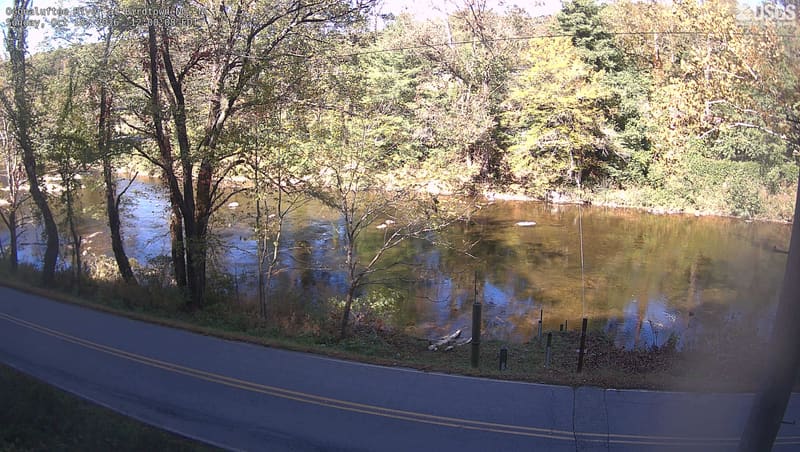 Readable green and yellow crowns span the near and far riverbanks across the upper half of the frame.