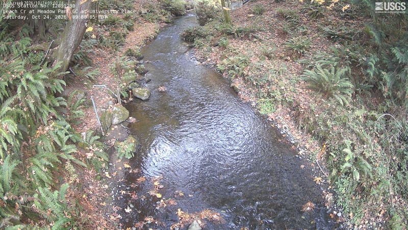 The same view on October 24