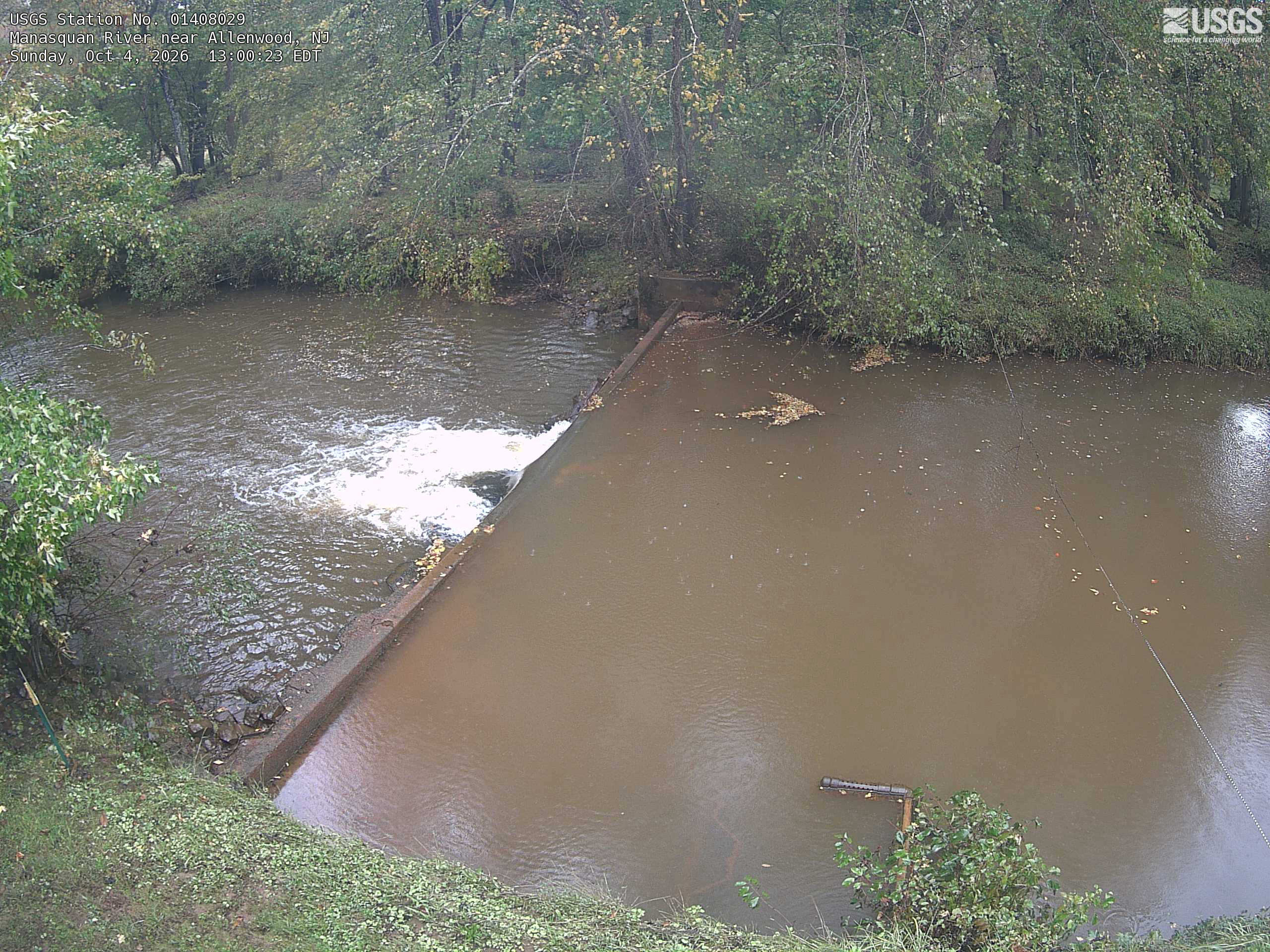 Clear close and opposite-bank trees around a low river barrier, with predominantly green leaves and scattered yellow. Water occupies most of the lower frame, but the wooded bank is easy to read.