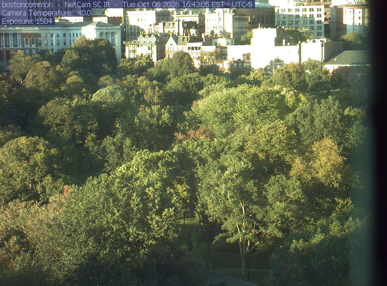 Buildings rise behind the park canopy; a fixed structure covers part of the right edge.