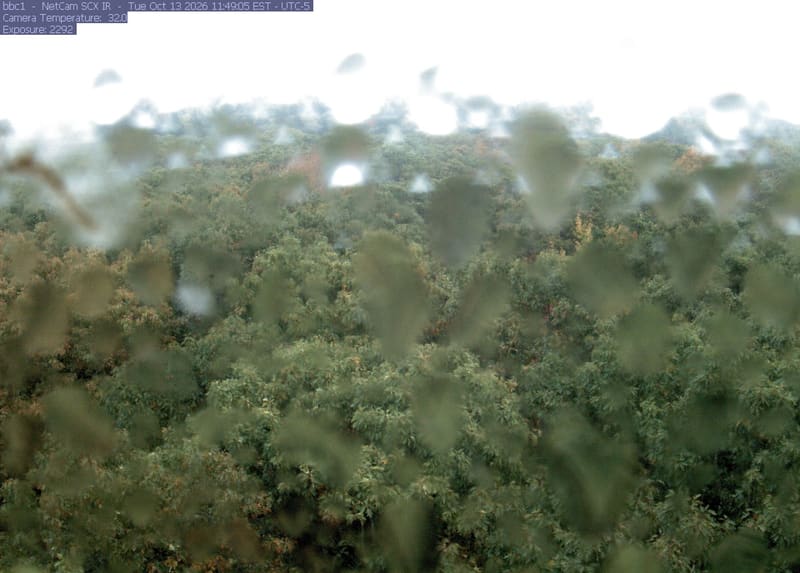Broadleaf crowns spread from the foreground to the horizon, with green, yellowing and scattered orange foliage clearly visible across the woodland. Water on the lens leaves blurred spots, including a large patch at upper left; most trees remain readable.