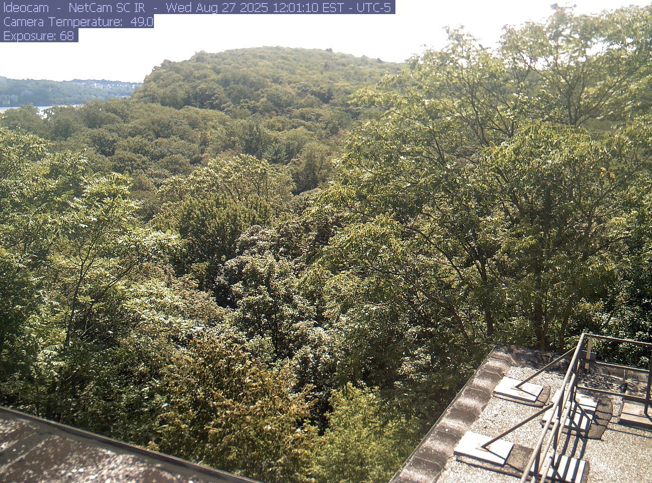 A wooded ridge rises behind close canopy at Lamont–Doherty Earth Observatory.