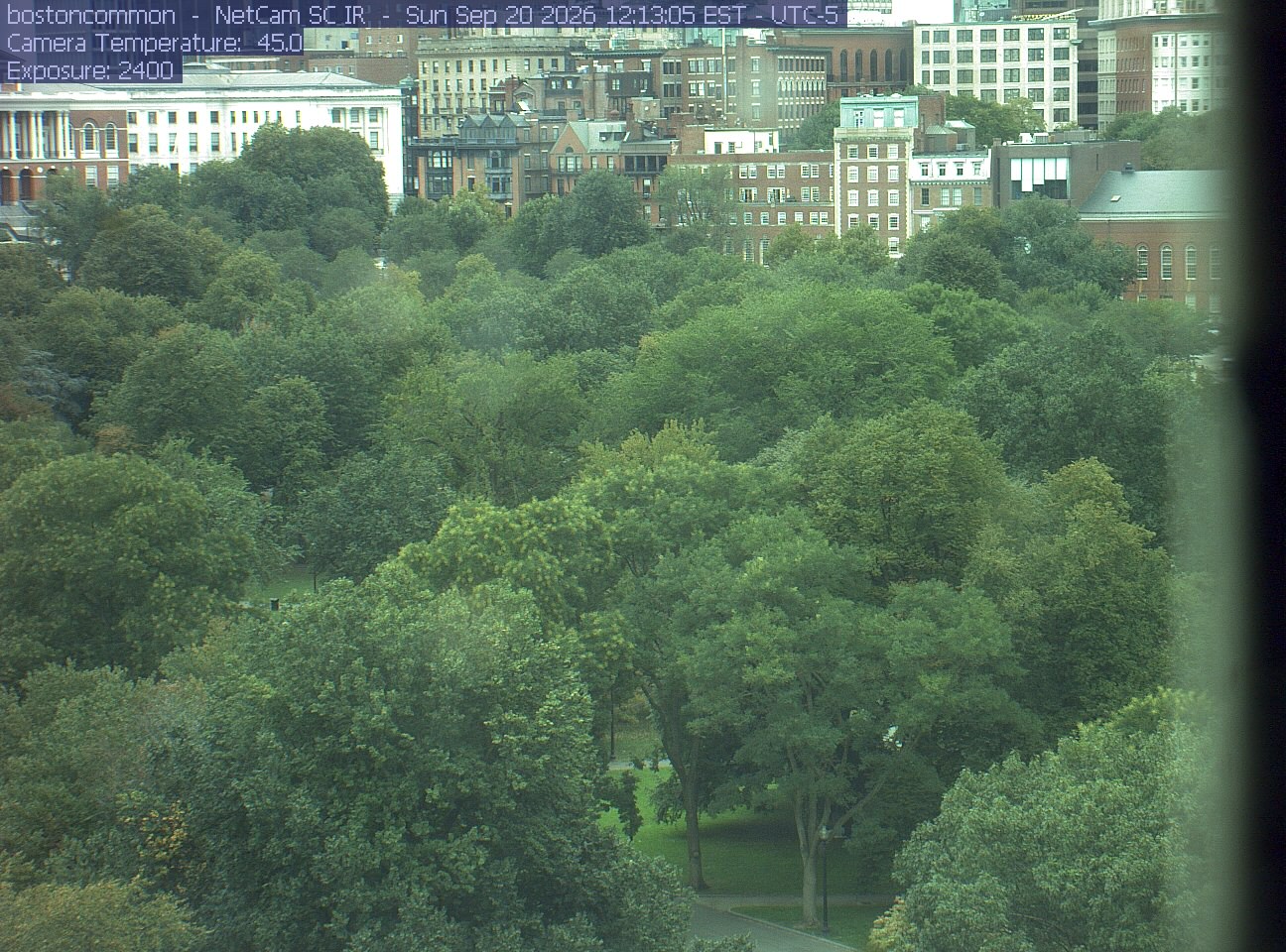 Buildings rise behind the park canopy; a fixed structure covers part of the right edge.