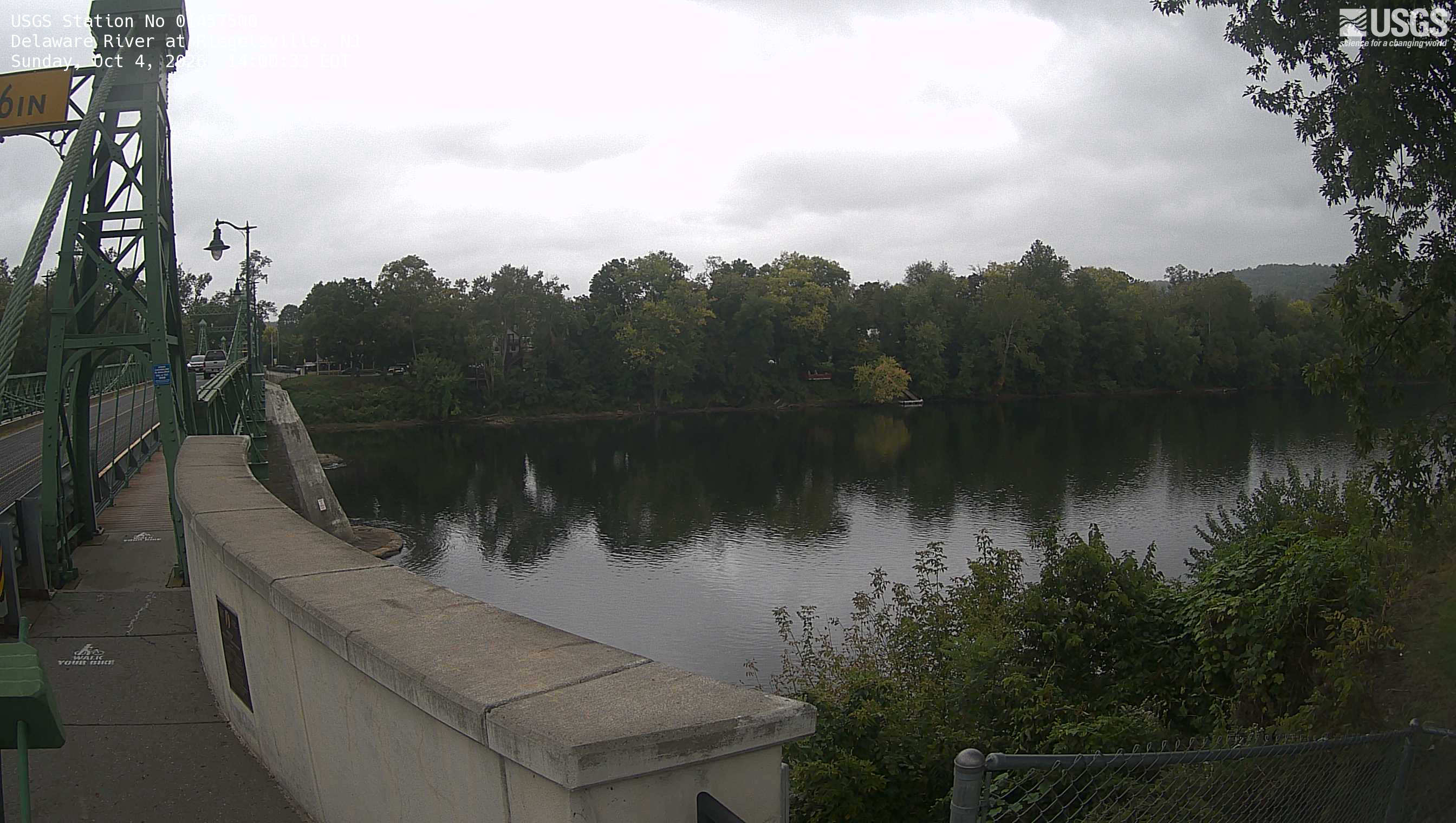 A suspension bridge borders a broad river with a continuous wooded opposite bank and nearer branches. Green crowns and scattered yellow patches remain readable despite underexposure. The bridge and water are prominent; the date overlay partly disappears against the pale sky.