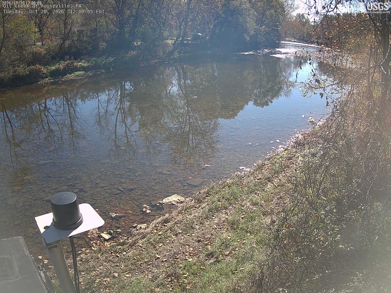 A clear wooded creek bend with green/yellow trees on the opposite bank and nearby leaves at right. Bright water reflection and deep tree shade make fine colour comparisons uneven.