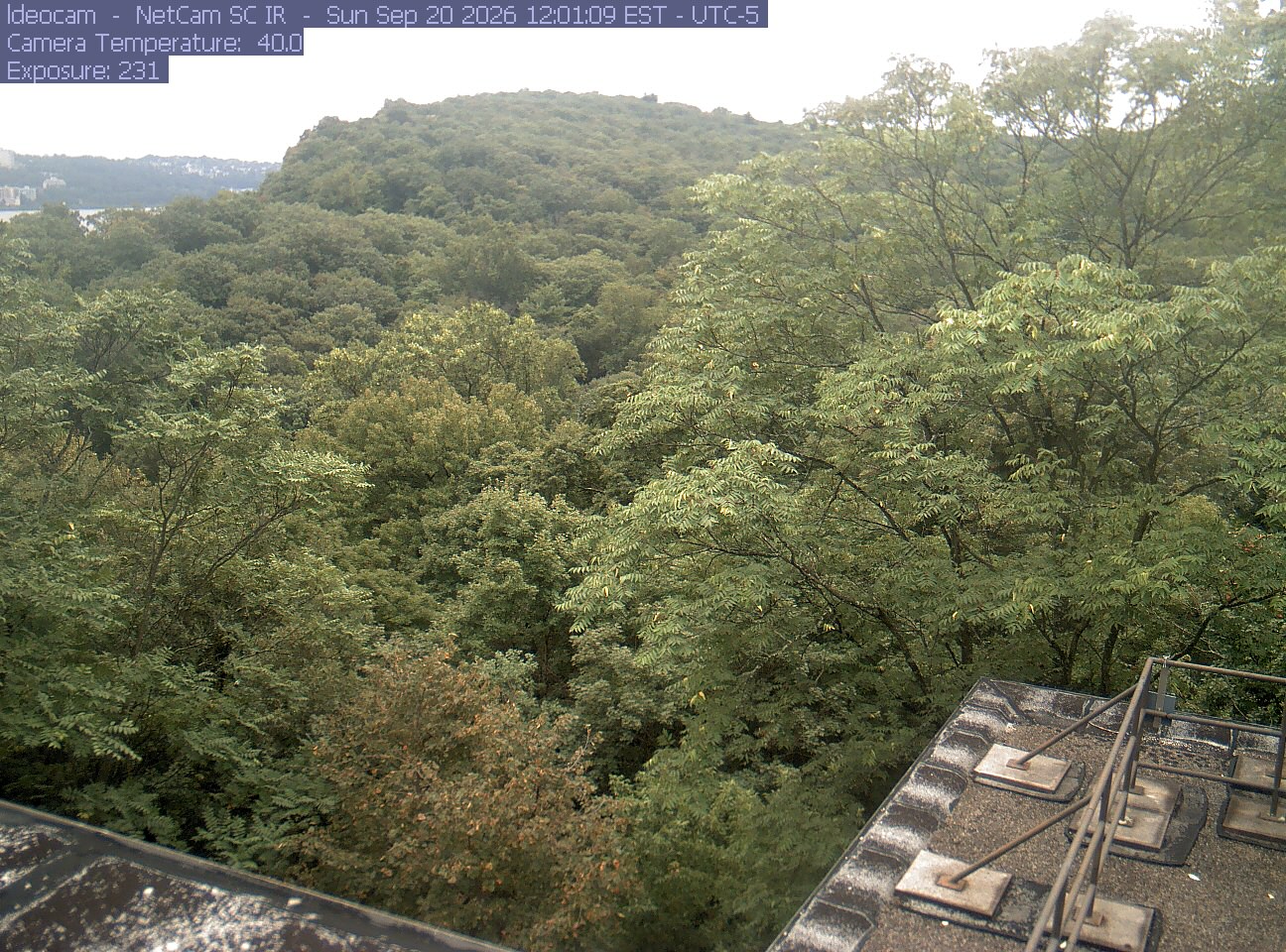 A wooded ridge rises behind close canopy at Lamont–Doherty Earth Observatory.
