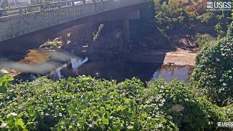 Leafy vines and shrubs surround a shallow creek beneath a large road bridge. The bridge fills much of the view, with green leaves close by and a small gravel bank beside the water.