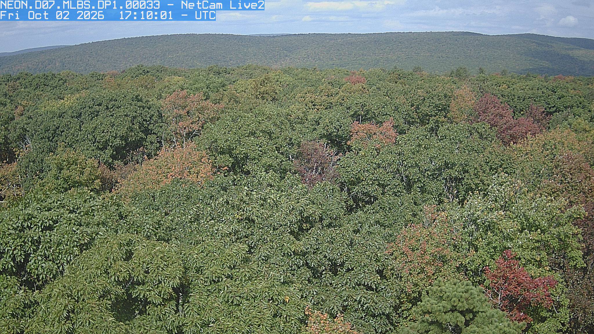 A clear canopy of green trees and scattered reddish crowns fills the foreground beneath a long wooded ridge. The October 3 fog is absent in this October 2 frame.