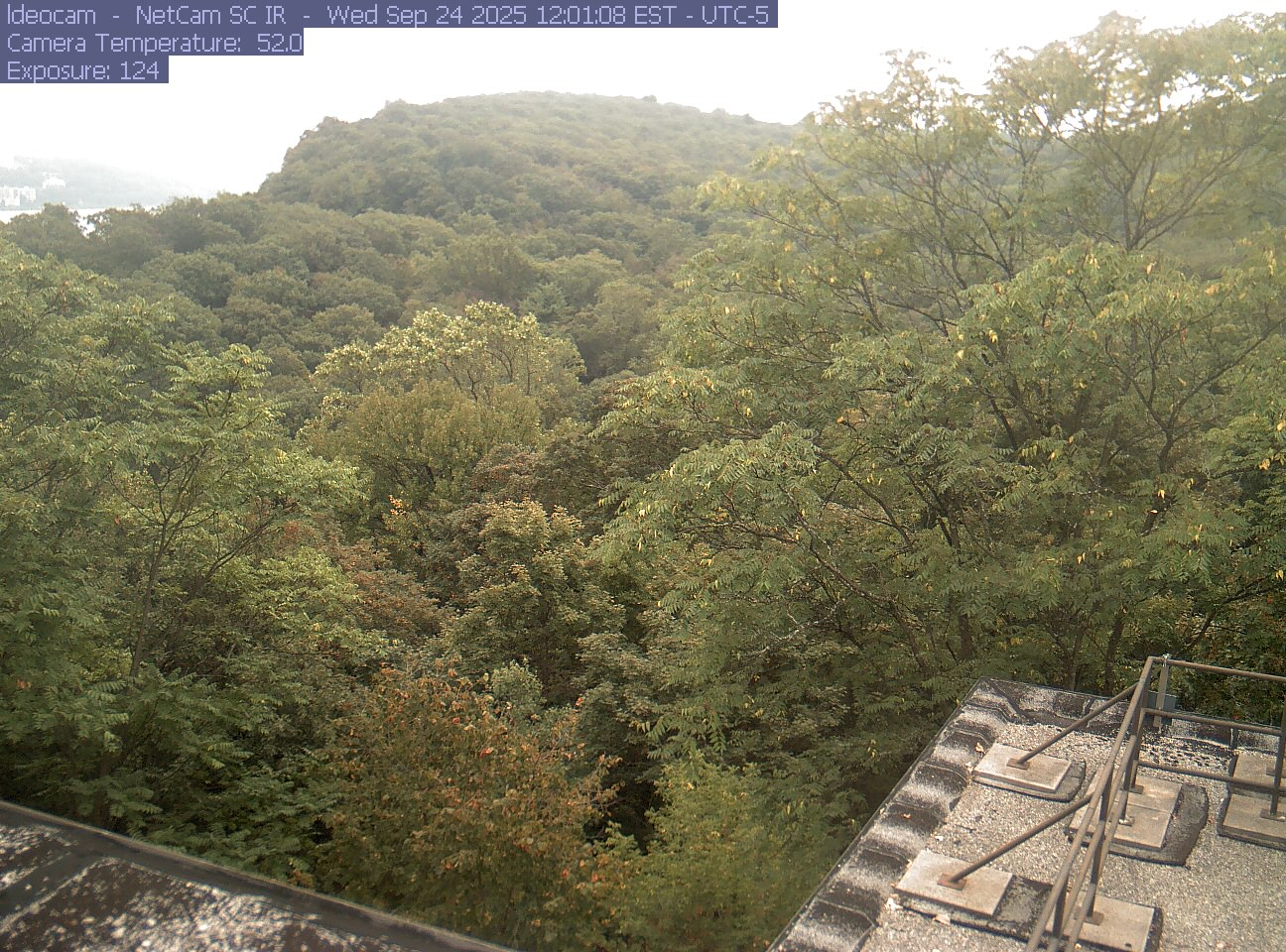 A wooded ridge rises behind close canopy at Lamont–Doherty Earth Observatory.