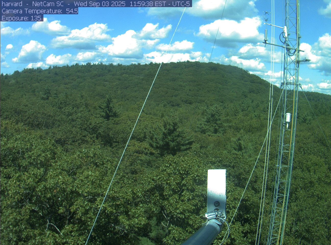 Forest canopy surrounds the tower, with a mast and instruments in the foreground.