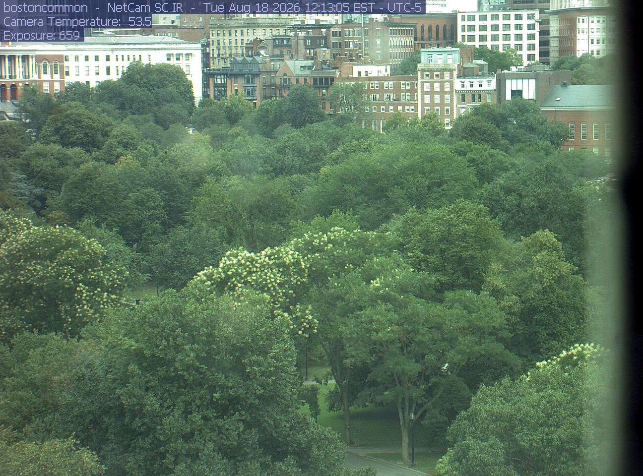Buildings rise behind the park canopy; a fixed structure covers part of the right edge.