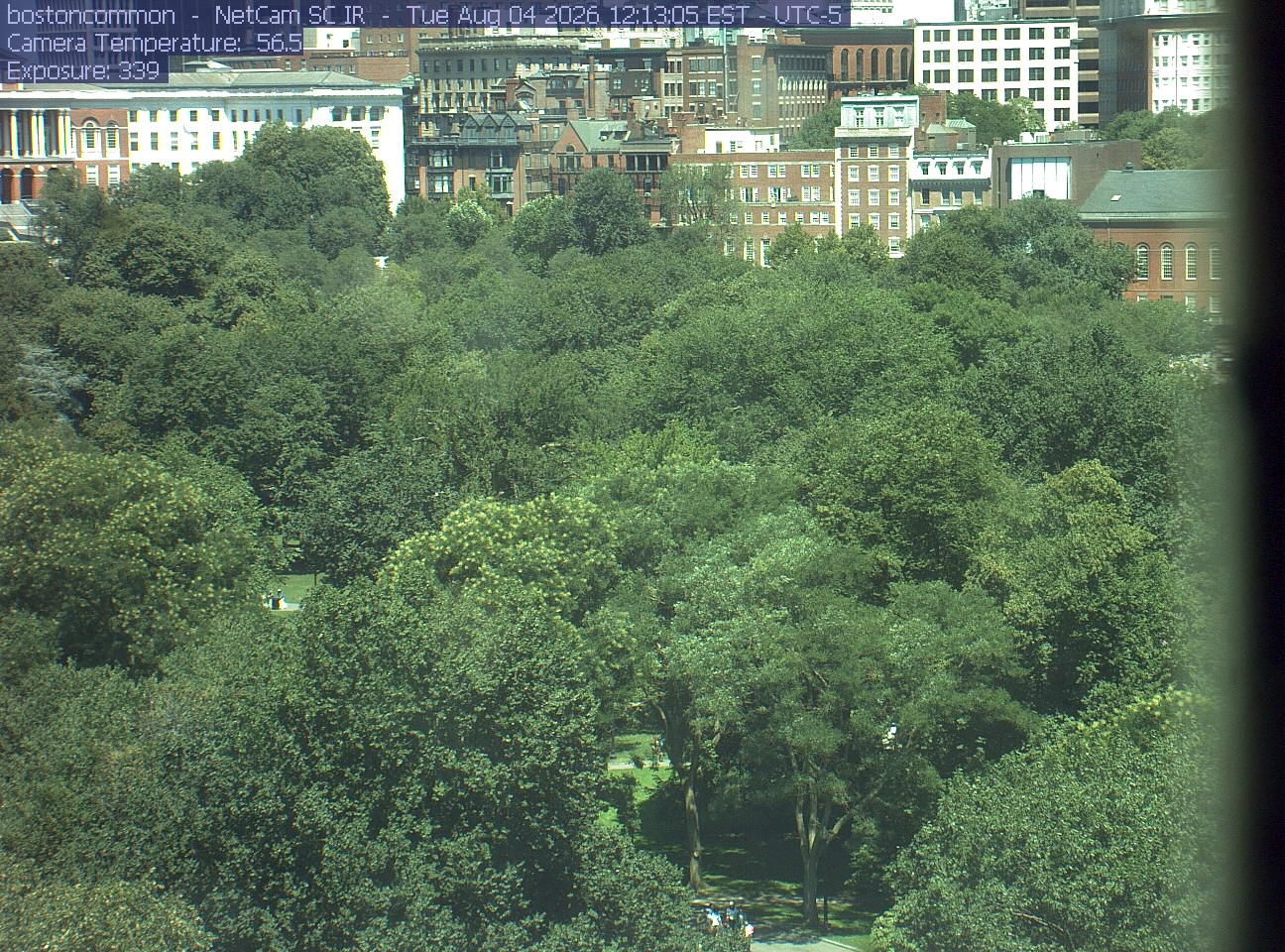 Buildings rise behind the park canopy; a fixed structure covers part of the right edge.