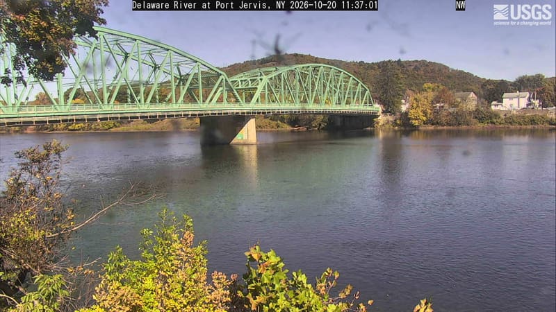 A wide river and green metal bridge below a wooded hill, with near green branches and small yellow patches on the opposite bank.