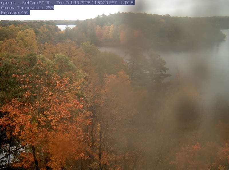 Orange and yellow broadleaf crowns fill the clear left side above a wooded lakeshore, while a broad smear obscures much of the centre and right.