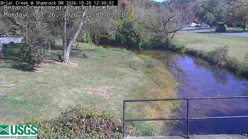 A quiet stream bends through mown grassy banks beneath large broadleaf trees. Some crowns are thin and bare while others remain green; muted yellow margins trace the water. A road lies beyond and a railing crosses the bottom foreground.