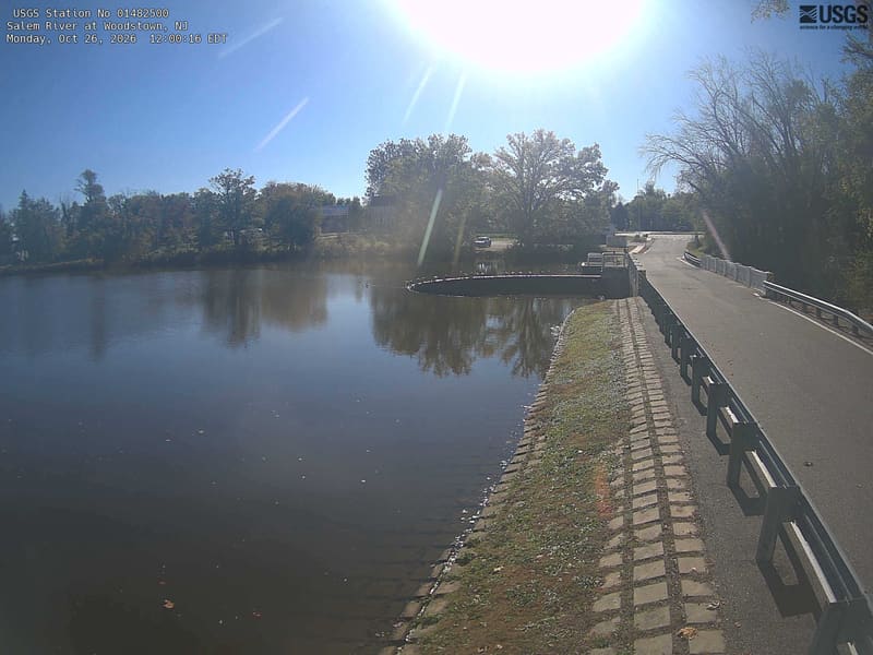 A wide millpond beside a bridge and curved spillway, with town buildings and a line of broad deciduous crowns in mixed green and dull yellow on the opposite bank.