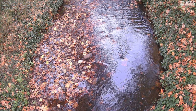 The same view on October 24