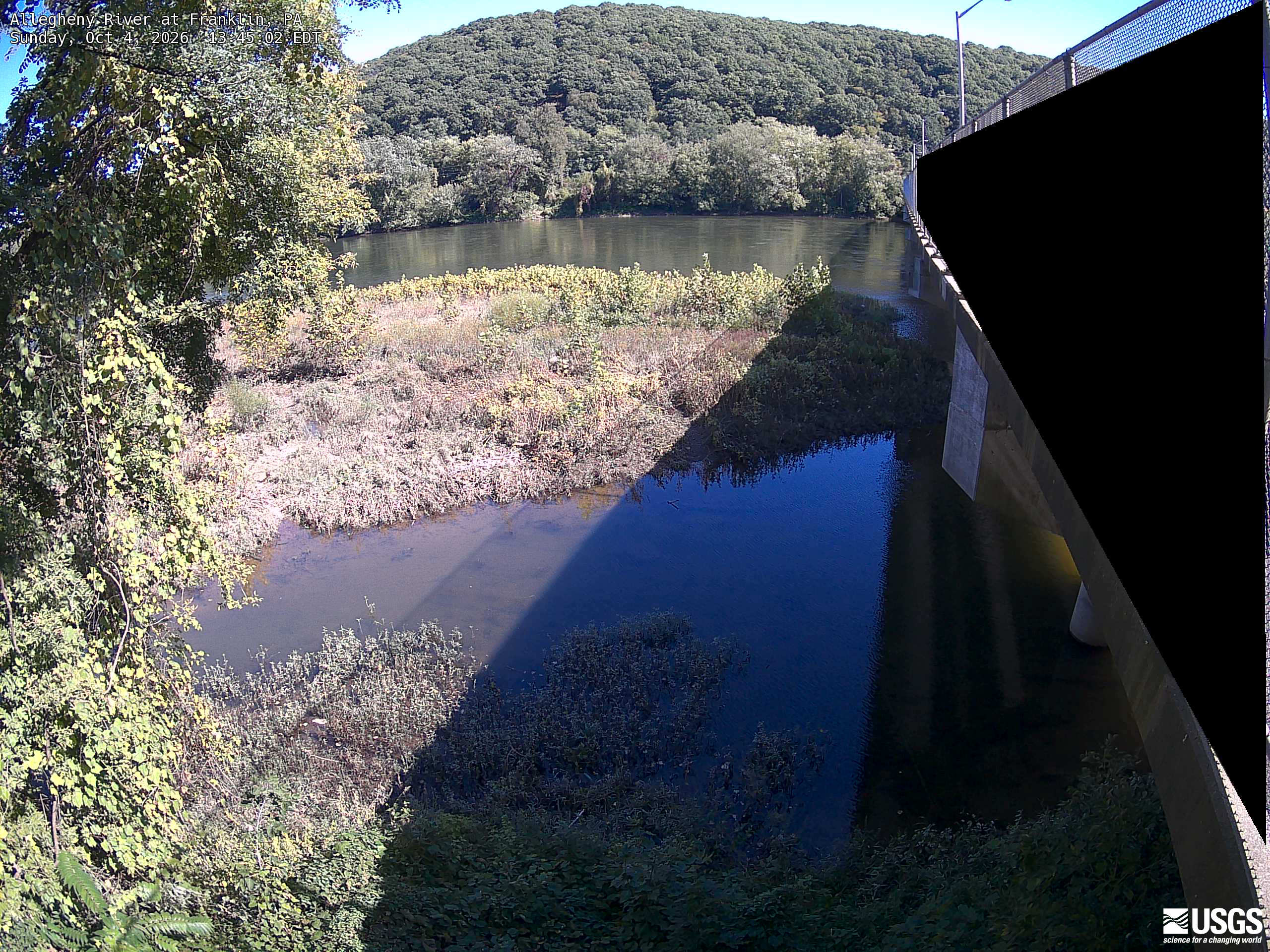 A broad wooded hill and riverbank canopy are clearly visible across the river, with close leaves at left. Most crowns remain green with scattered yellow. Strong bridge shadow and bright foreground limit colour comparison in those parts.