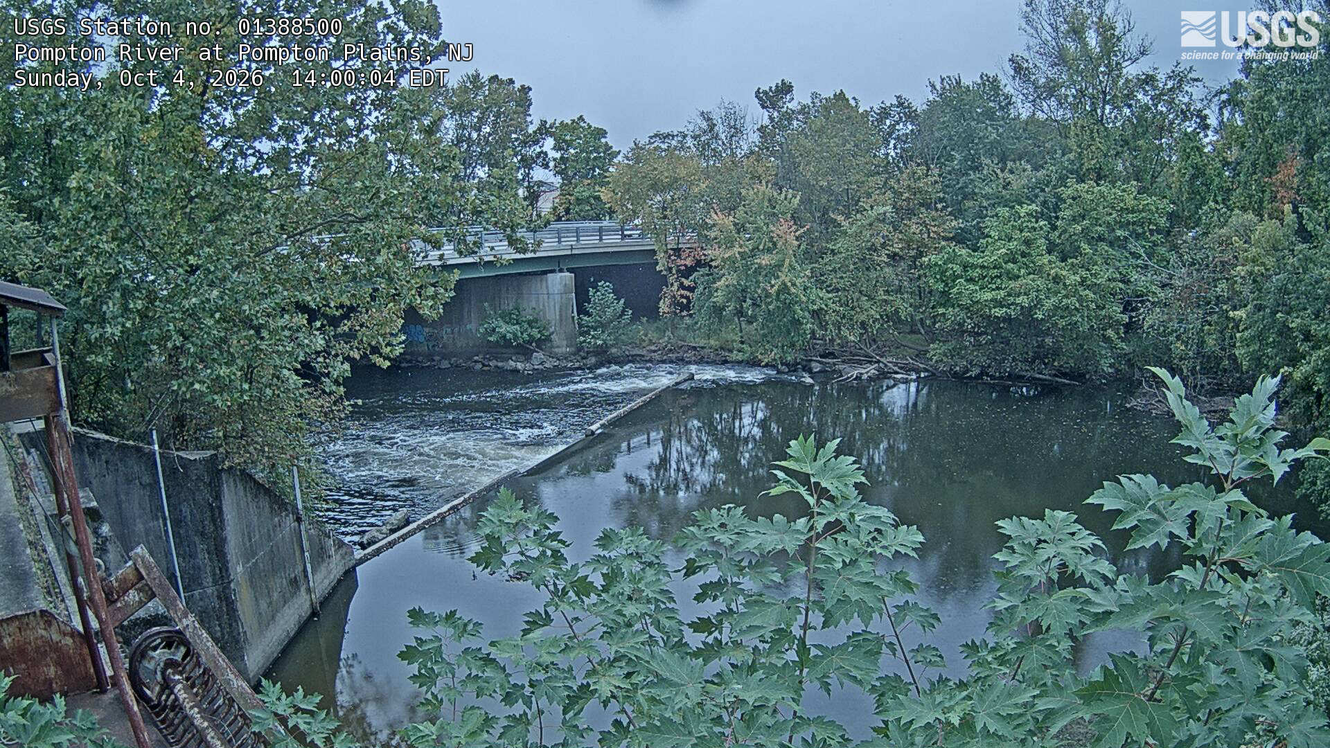 Broad green trees, a few reddish patches and sharply readable foreground leaves frame a low weir and bridge.