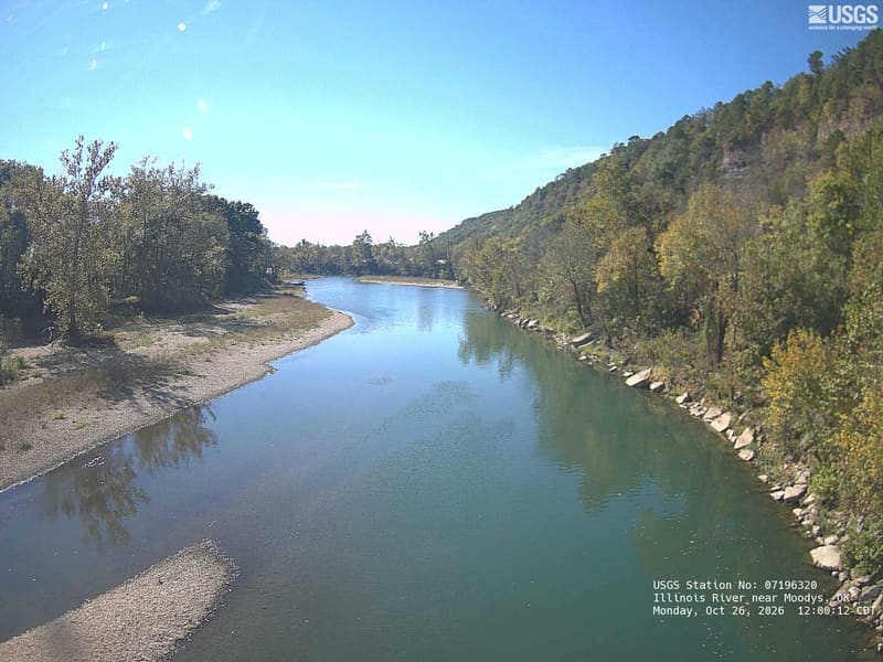 A clear river bends between a gravel bar and densely wooded hills; broadleaf crowns line both banks and cover the long slope at right. Green and olive leaves mingle with scattered yellow crowns.