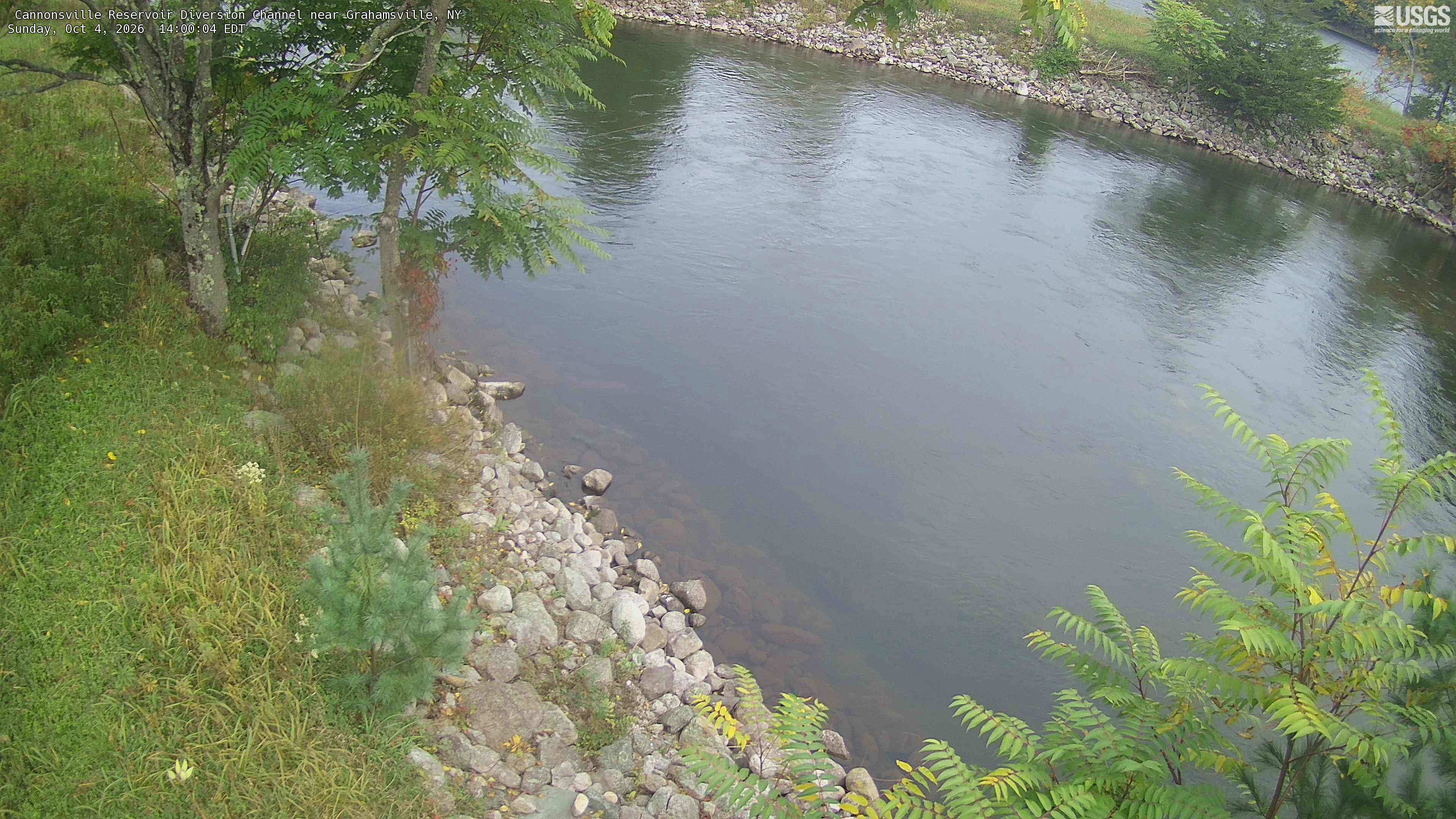 A broad water channel bordered by clear green and yellowing tree branches, grass and rock-lined banks. The channel fills much of the frame, with visible foliage concentrated along the near bank and foreground. This is an engineered channel with ordinary local foliage, not a forest panorama.