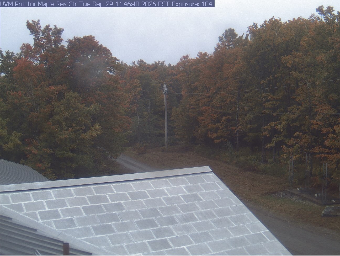 The research station's older camera at Underhill, a different view from the one across the hills: it looks over a metal roof to a lane, a utility pole and broadleaf woods.